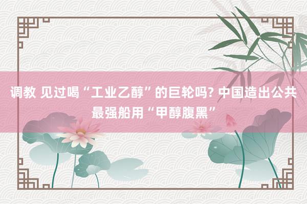 调教 见过喝“工业乙醇”的巨轮吗? 中国造出公共最强船用“甲醇腹黑”