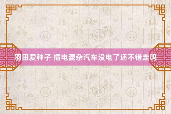 羽田爱种子 插电混杂汽车没电了还不错走吗
