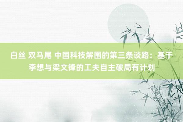 白丝 双马尾 中国科技解围的第三条谈路：基于李想与梁文锋的工夫自主破局有计划