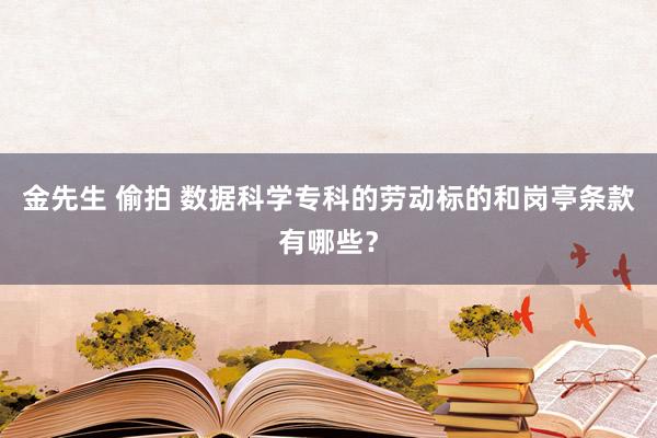 金先生 偷拍 数据科学专科的劳动标的和岗亭条款有哪些？