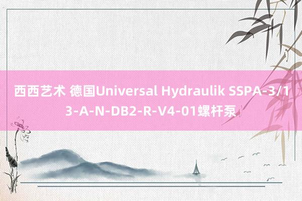 西西艺术 德国Universal Hydraulik SSPA-3/13-A-N-DB2-R-V4-01螺杆泵