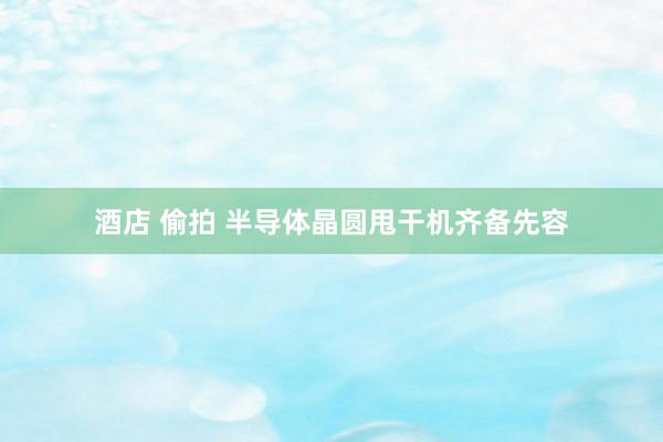 酒店 偷拍 半导体晶圆甩干机齐备先容