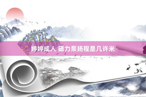 婷婷成人 磁力泵扬程是几许米