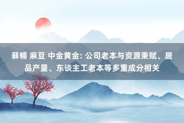 蘇暢 麻豆 中金黄金: 公司老本与资源秉赋、居品产量、东谈主工老本等多重成分相关