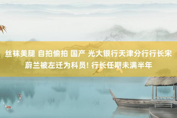 丝袜美腿 自拍偷拍 国产 光大银行天津分行行长宋蔚兰被左迁为科员! 行长任期未满半年