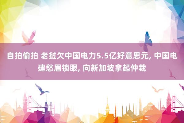 自拍偷拍 老挝欠中国电力5.5亿好意思元， 中国电建愁眉锁眼， 向新加坡拿起仲裁