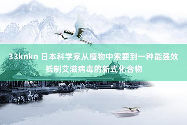 33knkn 日本科学家从植物中索要到一种能强效抵制艾滋病毒的新式化合物