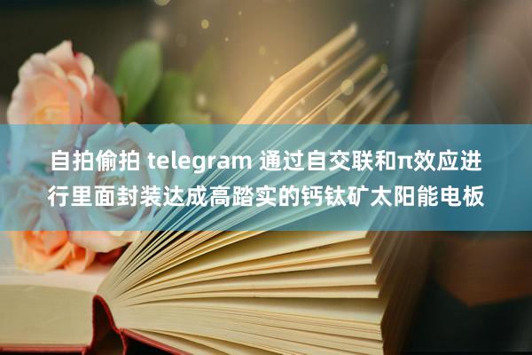 自拍偷拍 telegram 通过自交联和π效应进行里面封装达成高踏实的钙钛矿太阳能电板