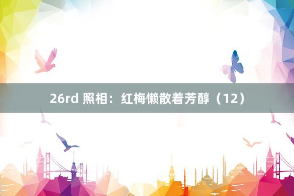 26rd 照相：红梅懒散着芳醇（12）