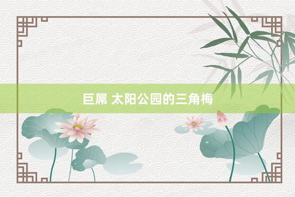 巨屌 太阳公园的三角梅