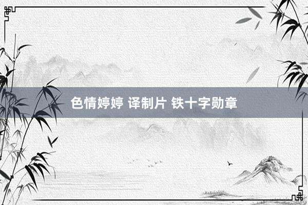色情婷婷 译制片 铁十字勋章