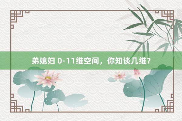 弟媳妇 0-11维空间，你知谈几维？