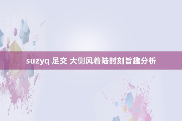 suzyq 足交 大侧风着陆时刻旨趣分析