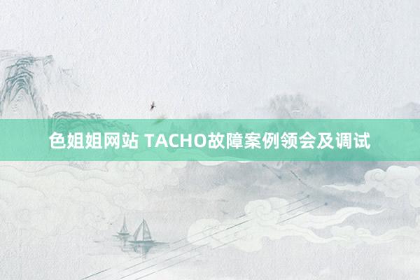 色姐姐网站 TACHO故障案例领会及调试
