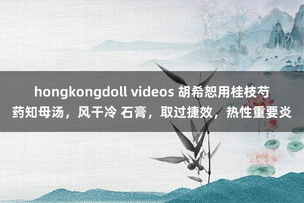 hongkongdoll videos 胡希恕用桂枝芍药知母汤，风干冷 石膏，取过捷效，热性重要炎
